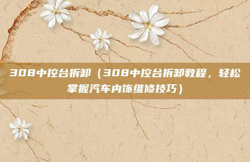 308中控台拆卸(308中控台拆卸教程,轻松掌握汽车内饰维修技巧)