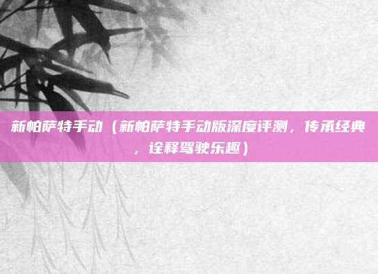 新帕萨特手动(新帕萨特手动版深度评测,传承经典,诠释驾驶乐趣)