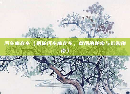 汽车库存车(揭秘汽车库存车,背后的秘密与选购指南)
