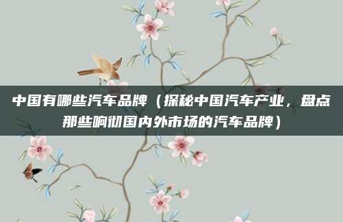 中国有哪些汽车品牌（探秘中国汽车产业，盘点那些响彻国内外市场的汽车品牌）