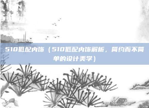510低配内饰(510低配内饰解析,简约而不简单的设计美学)
