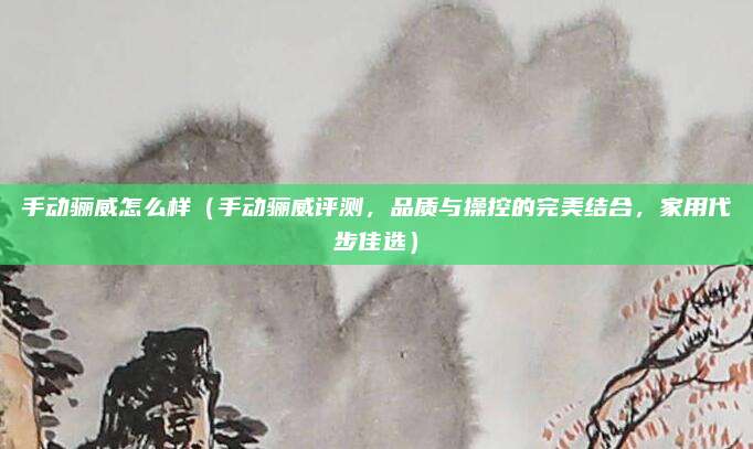 手动骊威怎么样(手动骊威评测,品质与操控的完美结合,家用代步佳选)