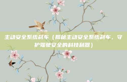 主动安全系统刹车(揭秘主动安全系统刹车,守护驾驶安全的科技利器)