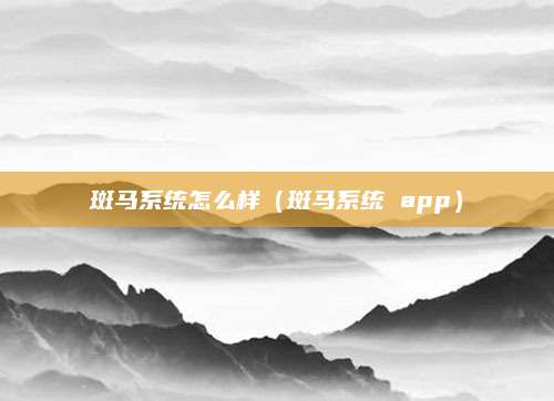 斑马系统怎么样(斑马系统 app)