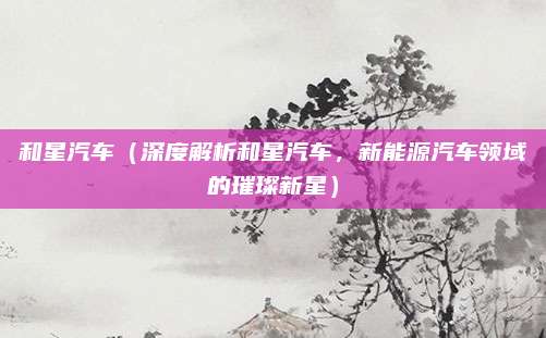 和星汽车(深度解析和星汽车,新能源汽车领域的璀璨新星)