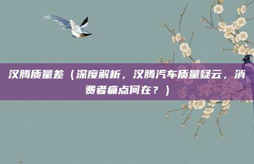 汉腾质量差(深度解析,汉腾汽车质量疑云,消费者痛点何在?)