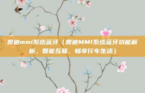 奥迪mmi系统蓝牙（奥迪MMI系统蓝牙功能解析，智能互联，畅享行车生活）