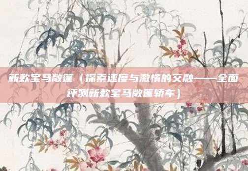 新款宝马敞篷(探索速度与激情的交融——全面评测新款宝马敞篷轿车)