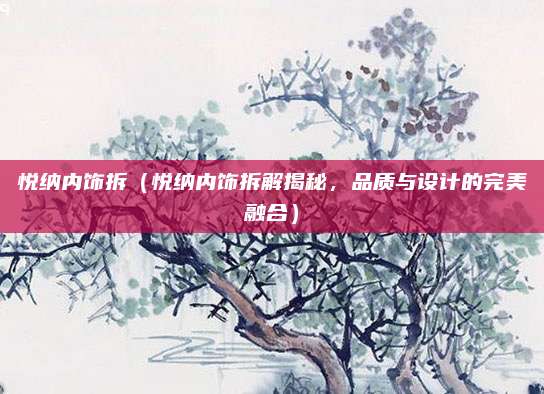 悦纳内饰拆(悦纳内饰拆解揭秘,品质与设计的完美融合)