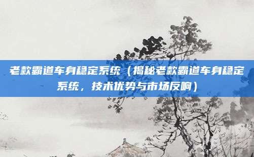 老款霸道车身稳定系统(揭秘老款霸道车身稳定系统,技术优势与市场反响)