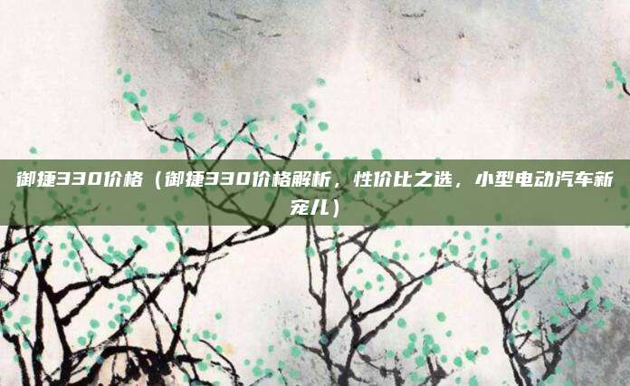御捷330价格(御捷330价格解析,性价比之选,小型电动汽车新宠儿)