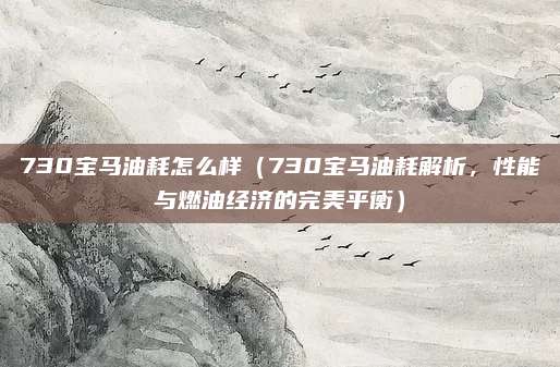 730宝马油耗怎么样(730宝马油耗解析,性能与燃油经济的完美平衡)