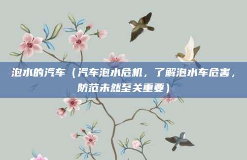 泡水的汽车(汽车泡水危机,了解泡水车危害,防范未然至关重要)
