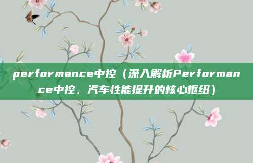 performance中控(深入解析Performance中控,汽车性能提升的核心枢纽)