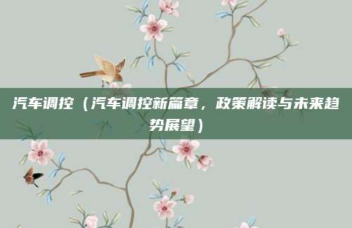汽车调控(汽车调控新篇章,政策解读与未来趋势展望)