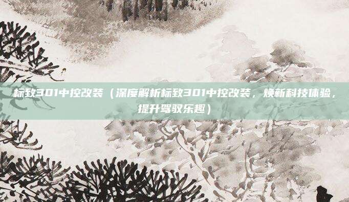 标致301中控改装(深度解析标致301中控改装,焕新科技体验,提升驾驭乐趣)
