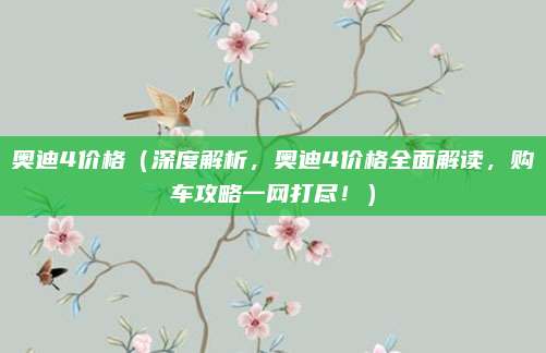 奥迪4价格(深度解析,奥迪4价格全面解读,购车攻略一网打尽!)