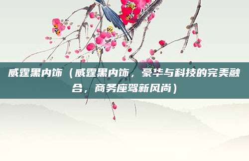 威霆黑内饰(威霆黑内饰,豪华与科技的完美融合,商务座驾新风尚)