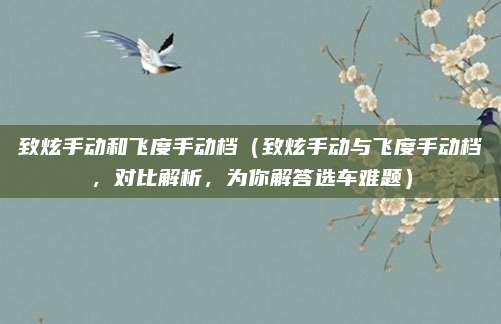 致炫手动和飞度手动档（致炫手动与飞度手动档，对比解析，为你解答选车难题）