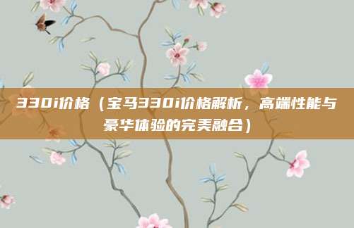 330i价格(宝马330i价格解析,高端性能与豪华体验的完美融合)