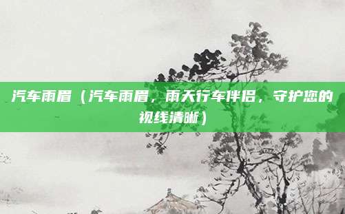 汽车雨眉（汽车雨眉，雨天行车伴侣，守护您的视线清晰）