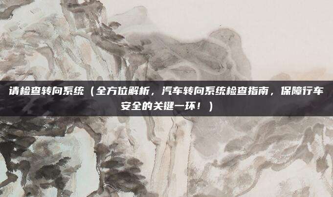 请检查转向系统(全方位解析,汽车转向系统检查指南,保障行车安全的关键一环!)