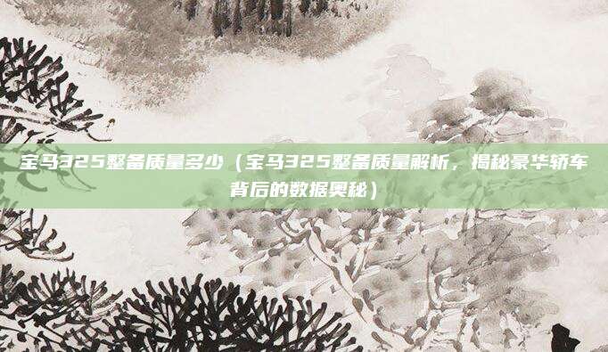宝马325整备质量多少(宝马325整备质量解析,揭秘豪华轿车背后的数据奥秘)