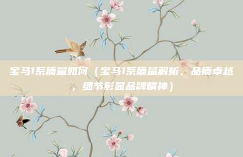 宝马1系质量如何（宝马1系质量解析，品质卓越，细节彰显品牌精神）