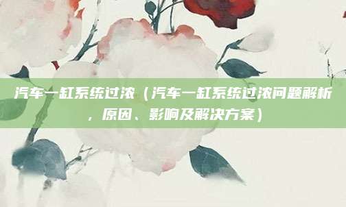 汽车一缸系统过浓（汽车一缸系统过浓问题解析，原因、影响及解决方案）