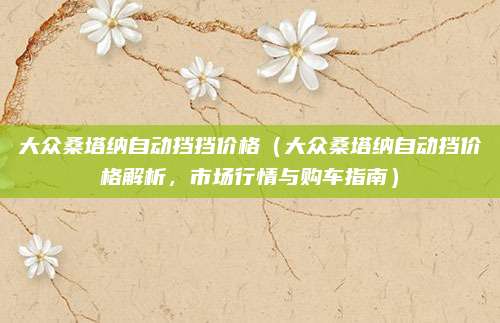 大众桑塔纳自动挡挡价格（大众桑塔纳自动挡价格解析，市场行情与购车指南）