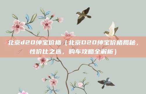 北京d20绅宝价格(北京D20绅宝价格揭秘,性价比之选,购车攻略全解析)