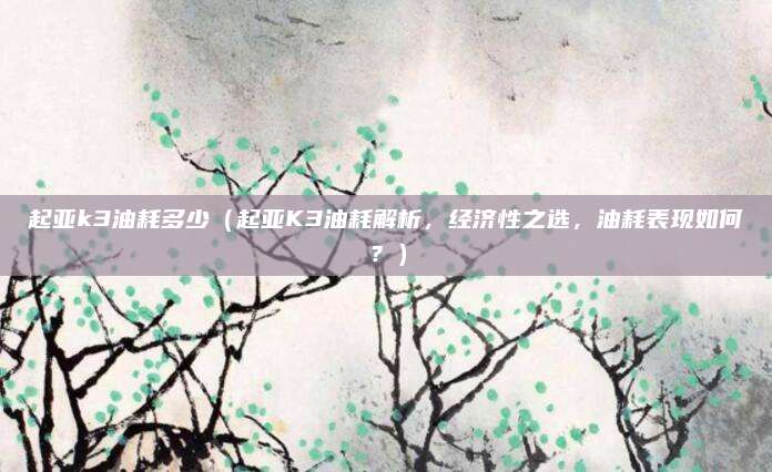 起亚k3油耗多少(起亚K3油耗解析,经济性之选,油耗表现如何?)