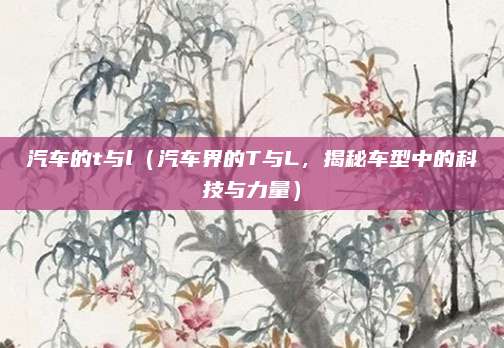 汽车的t与l(汽车界的T与L,揭秘车型中的科技与力量)