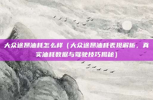 大众途昂油耗怎么样(大众途昂油耗表现解析,真实油耗数据与驾驶技巧揭秘)