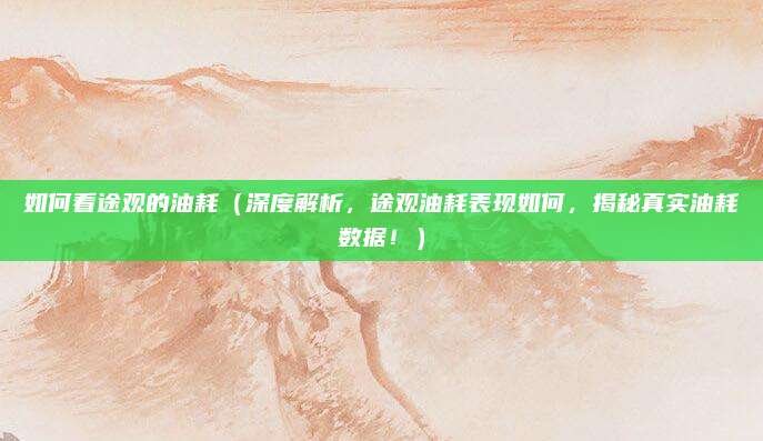 如何看途观的油耗(深度解析,途观油耗表现如何,揭秘真实油耗数据!)