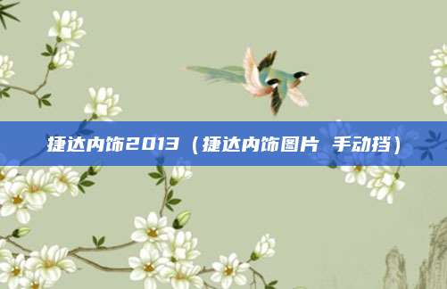 捷达内饰2013(捷达内饰图片 手动挡)