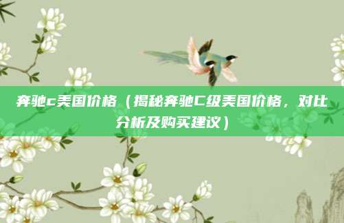 奔驰c美国价格（揭秘奔驰C级美国价格，对比分析及购买建议）