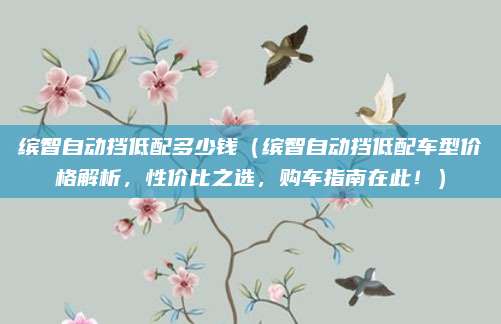 缤智自动挡低配多少钱（缤智自动挡低配车型价格解析，性价比之选，购车指南在此！）