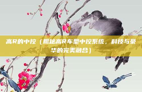 高R的中控(揭秘高R车型中控系统,科技与豪华的完美融合)