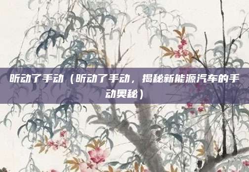 昕动了手动(昕动了手动,揭秘新能源汽车的手动奥秘)