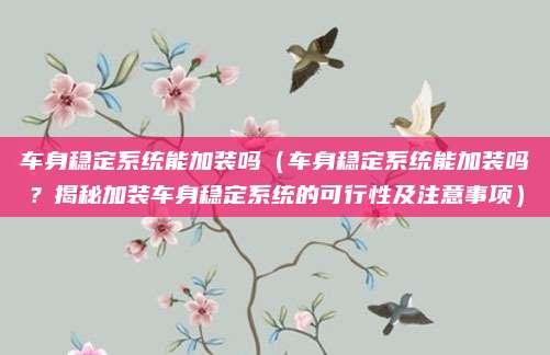 车身稳定系统能加装吗(车身稳定系统能加装吗?揭秘加装车身稳定系统的可行性及注意事项)