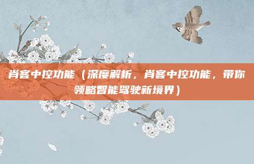 肖客中控功能(深度解析,肖客中控功能,带你领略智能驾驶新境界)
