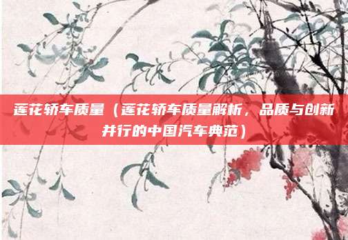 莲花轿车质量(莲花轿车质量解析,品质与创新并行的中国汽车典范)