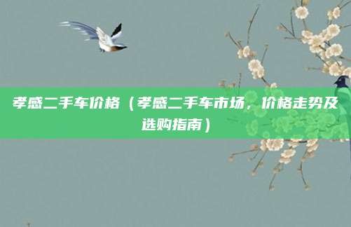 孝感二手车价格(孝感二手车市场,价格走势及选购指南)