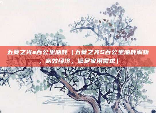 五菱之光s百公里油耗(五菱之光S百公里油耗解析,高效经济,满足家用需求)