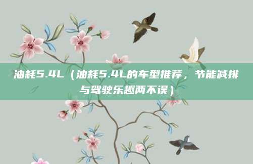 油耗5.4L（油耗5.4L的车型推荐，节能减排与驾驶乐趣两不误）