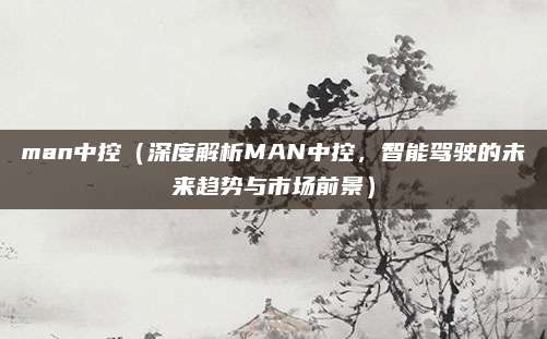 man中控(深度解析MAN中控,智能驾驶的未来趋势与市场前景)