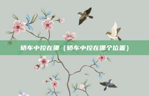 轿车中控在哪(轿车中控在哪个位置)