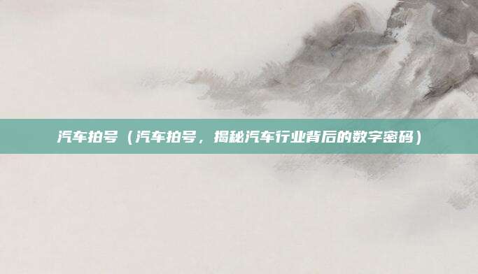 汽车拍号(汽车拍号,揭秘汽车行业背后的数字密码)
