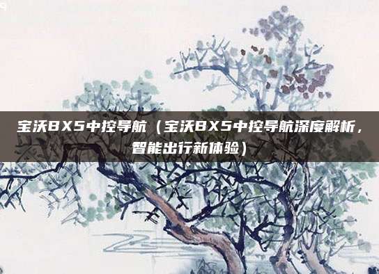 宝沃BX5中控导航（宝沃BX5中控导航深度解析，智能出行新体验）